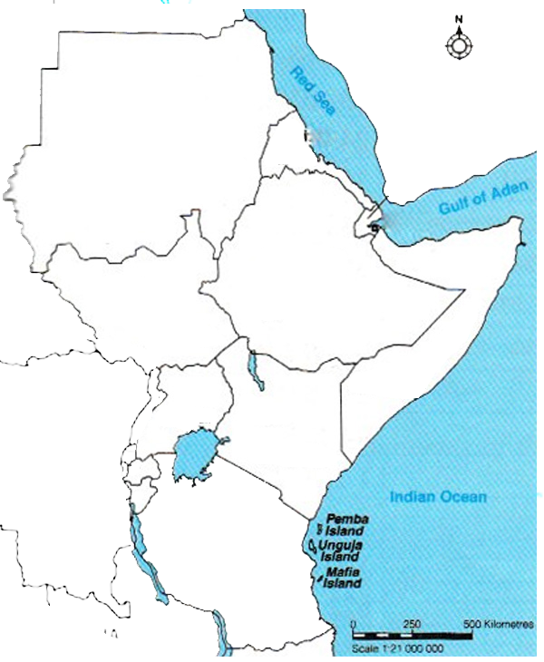 east-africa-internet-governance-forum-eaigf-member-states-2024